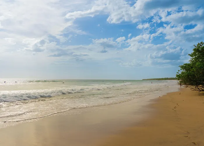 Vr Beachwalk Avellanas *